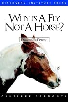Why Is a Fly Not a Horse?