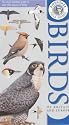 Kingfisher Field Guide to the Birds of Britain and Europe (Kingfisher Field Guides)