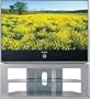 Samsung HLP4674W 46-Inch HD-Ready DLP Projection TV