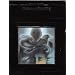 "The Knights of Theunoan: The Gift of Dreams" -short stories and poems