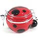 Boston Warehouse Ladybug Lane Hinged Earthenware Storage Jar