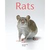 Rats