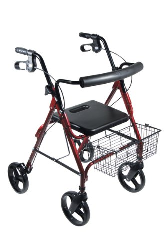 Drive Medical Nimbo Rehab Lightweight Posterior Posture Walker, Cornflower Blue, Youth