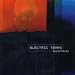Buckethead-Electric Tears