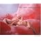 Erotic . . Art ! 5