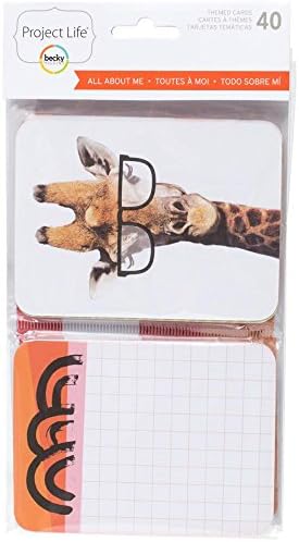Project Life Planner Themed Cards 40/pkg - All About Me