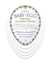 BABY-EGG Pregnancy Countdown Calendar