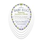 BABY-EGG Pregnancy Countdown Calendar by  Anita Schneider