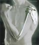 Human Anatomy (4th Edition)