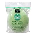 Earth Therapeutics Exfoliating Body Sponge 1 ea