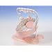 Zapf Creation Baby Annabell Baby Swing (762387)
