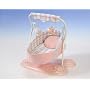 Zapf Creation Baby Annabell Baby Swing (762387)