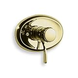 GROHE Grohmix Integrated Thermostat Valve and Trim, Polished Brass #34436R00