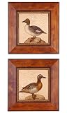 Animals Art By Uttermost 41132