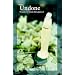 Undone
