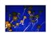 Aquatica: Jelly Migration poster print,20 in. x 14.7 in.
