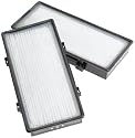 Holmes HAPF30DPDQ-U 2- Pack Hepa-Type filters for Holmes&reg; and Bionaire&reg; Air Cleaners