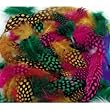SPOTTED FEATHERS