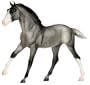 Moonbeam - Grullo Foal�