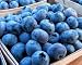 Blueberry Coffee -- 4 Packages