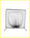Champion Sports Sock Style Screen