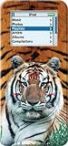 Tiger - Apple iPod nano 1G (1st Generation) 1GB 2GB 4GB Hard Case iJacket - Shock Absorbent Hard Protective Faceplate Cover + FREE Screen & Surface Protector + FREE Lanyard