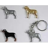 Rottweiler Hand Painted Pin