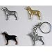   - Rottweiler Gold Pin