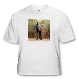 Wild animals - Elephant - T-Shirts
