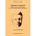 Chemins d'identite: LeRoi Jones/Amiri Baraka et le fait culturel africain-americain (Collection Identite & culture) book cover