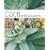 Cacti and Succulents (Hamlyn Care Manual)