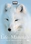 The Life of Mammals, Vol. 2