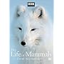 The Life of Mammals, Vol. 2 [2002] (REGION 1) (NTSC)