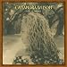 Cassandra Wilson