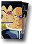 Dragon Ball Z - The Saiyan Conflict (Boxed Set I - Episodes 1-25) [VHS]