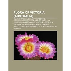 Flora of Victoria (Australia): Epacris Impressa, Eucalyptus Regnans, Leptospermum Scoparium, Banksia Spinulosa, Xerochrysum Bracteatum