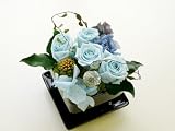 ���ksui�l�~�j �y���Ȃ����P������t�����[���� Florist S.F.D�z �` �v���U�[�u�h�t�����[ �����₲����̃C���e���A�ɂǂ��� �`