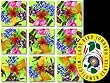 American Native Flowers Scramble Squares Puzzle 9pc