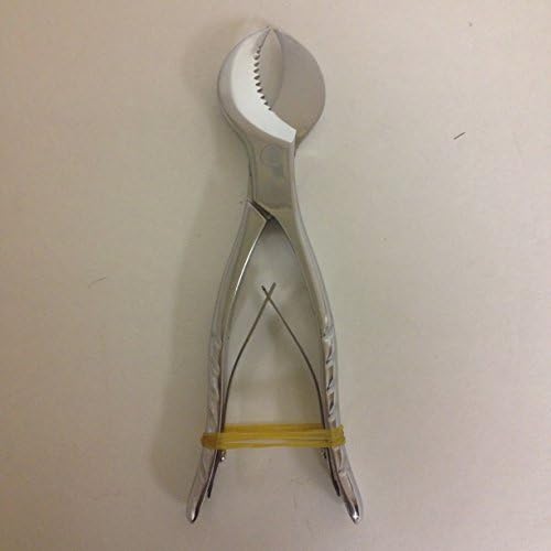 Chase Dental Products CD-9215S Stainless Steel Plaster Nippers, Cow Horn Jaws 1/pk