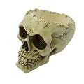 Nemesis Now 'Lobo' 14.5cm Gothic Skull Bowl