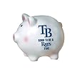 Tampa Bay Devil Rays Born to be a Fan Piggy Bank