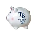 Tampa Bay Devil Rays Born to be a Fan Piggy Bank