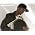 Miniaturansicht von Grandmaster Flash