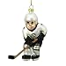 Pittsburgh Penguins NHL Glass Hockey Player Ornament (4)
