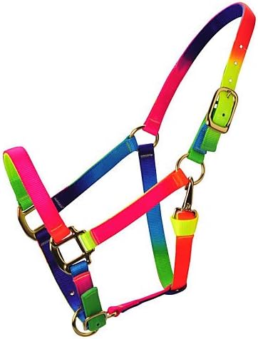 Deluxe Rainbow Adj Nylon Halter w/Snap Average