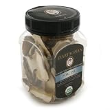 Organic Dried Porcini Mushrooms (1 ounce) by igourmet.com