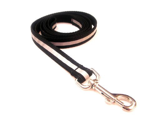 Medium Reflective Black Dog Leash - Nylon Webbing: 3/4