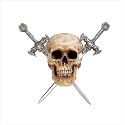 Skull with Two Metal Swords - Style 37079