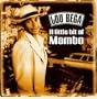 Little Bit of Mambo