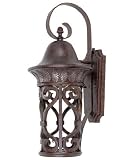 Aficinado Collection ENERGY STAR 25 3/4 High Wall Light